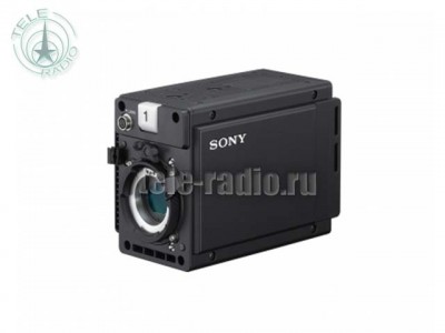 Sony HDC-P50