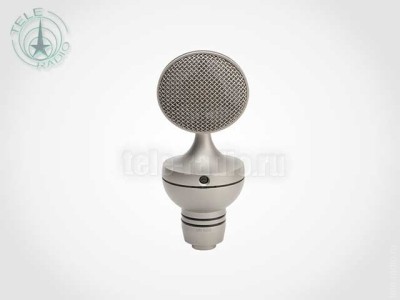 Микрофон Microtech Gefell UM 900