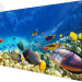 Профессиональный дисплей 55'' EliteBoard BE-55C7