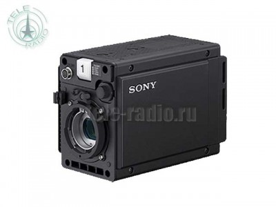 Sony HDC-P31