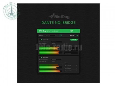 BirdDog Dante NDI Bridge
