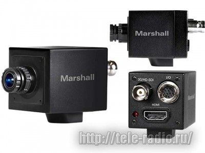 Marshall CV505-M