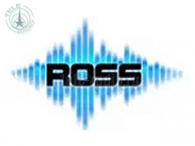 ROSS C65 Трансляционная подвесная / настенная акустическая система 6,5" + 1"; 100В