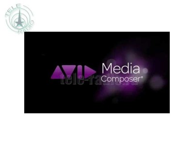 Avid Media Composer Video Satellite Option