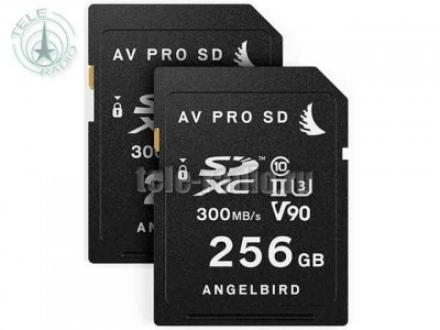 Angelbird Match Pack for EVA1 256 GB | 2 PACK