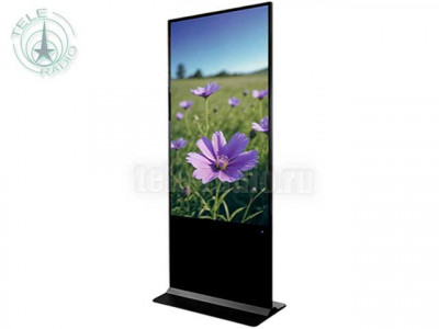 Профессиональный интерактивный киоск EliteBoard LR-49S31 с диагональю 49''