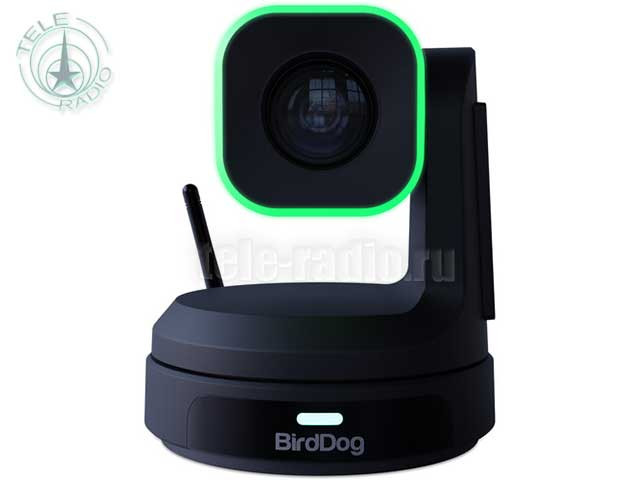 BirdDog - X1 Black камера PTZ