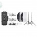 Комплект светодиодных осветителей Godox LITEMONS LA300R K2